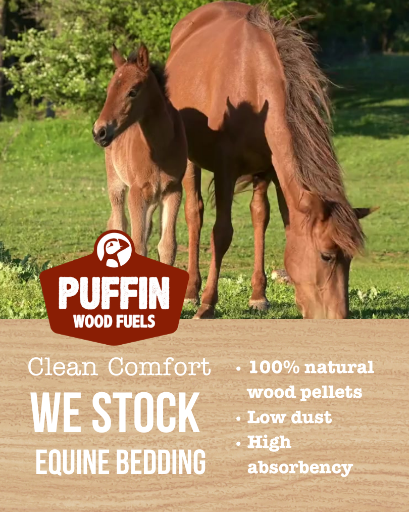 Why Equine Pellets Are a Game-Changer for Horse Owners