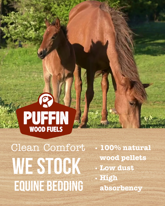 Why Equine Pellets Are a Game-Changer for Horse Owners