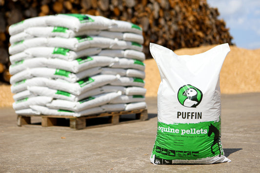 Equine Bedding & Cat Litter - Single Bags
